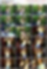 85460305_[14y]_rosmeri___jeandance2.mo.jpg